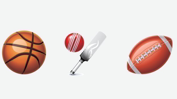 Sports balls equipment icons illustration vector