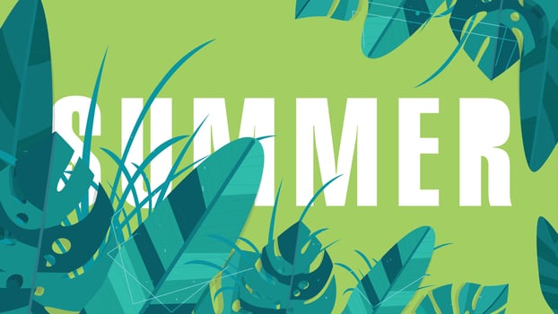 Summer poster background illustration vector