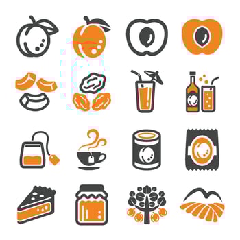 apricot icon set vector