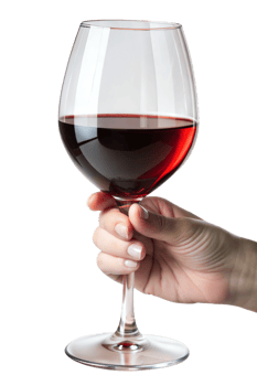 Hand holding a glass of rich red wine, isolated on transparent file png