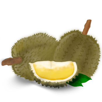 Durian fruit drawing png