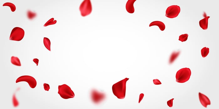 falling red rose petals isolated on white background. with beauty roses petals frame. Flying rose illustration vector