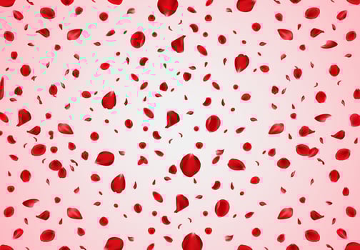 Rose petals illustration. Rose petals Background. Valentines day flower confetti vector