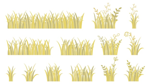 Autumn withered grass with wild flowers and herbs set vector