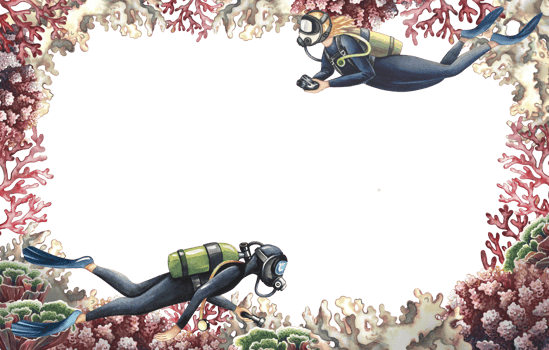 Coral frame with divers. A hand-drawn watercolor illustration. Aquarium, tropics, reefs. The concept of a label, business card and banner, postcard and flyer, brochure template. png