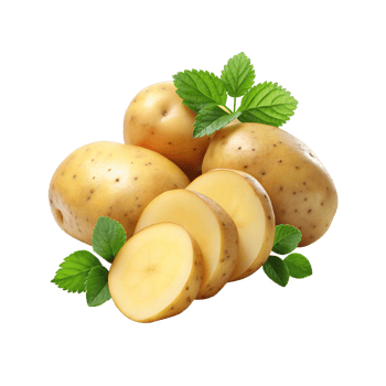 Fresh potato sliced with leaves png