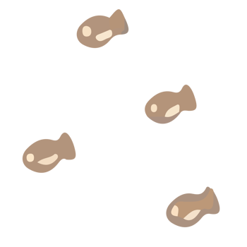 a group of brown fish on a transparent background png