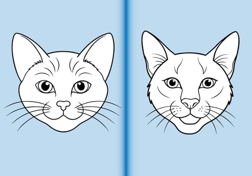 Cat face line art design vector