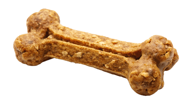 Dog biscuit shaped like a bone with kibble topping, pet treat, isolated transparent file png