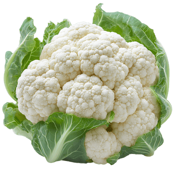 cauliflower . cauliflower vegetable during autumn fall harvest . cauliflower with green leaves png