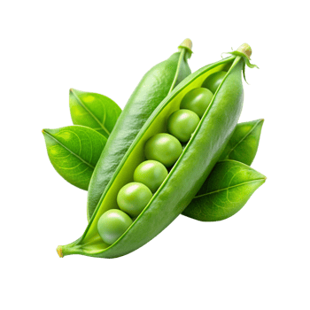 green peas with leaves png