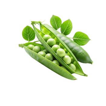 fresh green peas isolated png