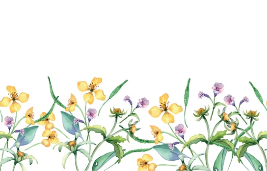 Yellow, blue meadow wild flowers in watercolor seamless border isolated on white. Celandine and bur marigold in sketch. Medicinal plant, useful flower hand drawn. Design for label, package, postcard. vector