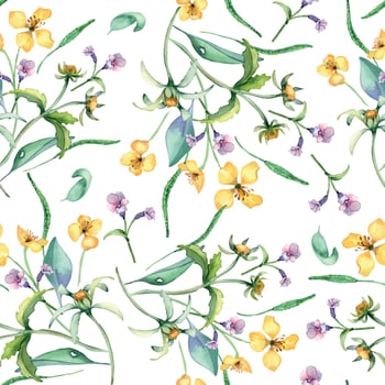 Yellow, blue meadow wild flowers in watercolor seamless pattern isolated on white. Celandine and bur marigold medicinal plant in sketch. Floral print hand drawn. Design for package, textile, wrapping. vector
