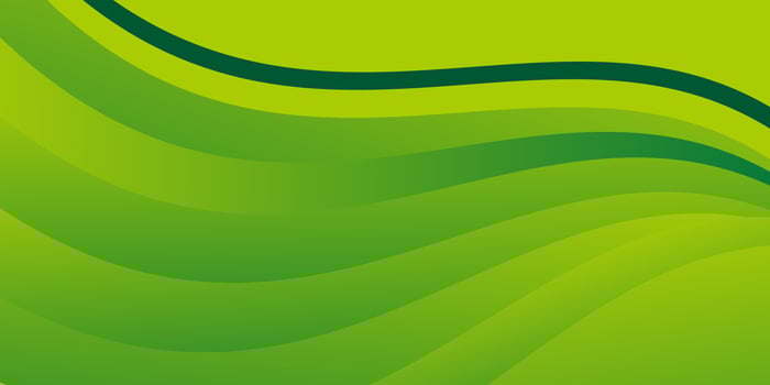 Light green gradient wave modern background vector