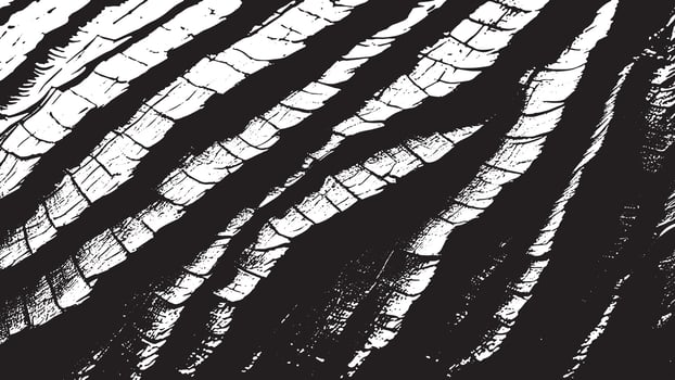 Aged Black and White Pattern for 4K Background and Overlays vector
