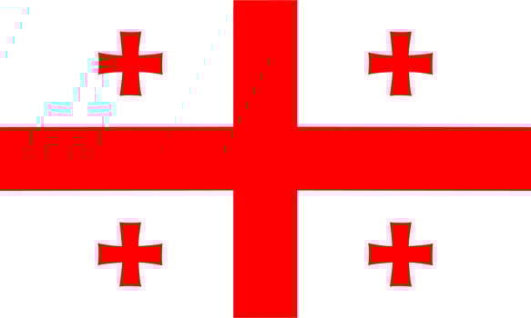 Georgia flag national material design vector