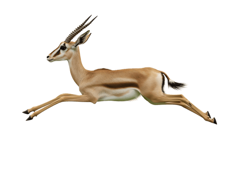 gazelle floating mid-air on isolated white background png