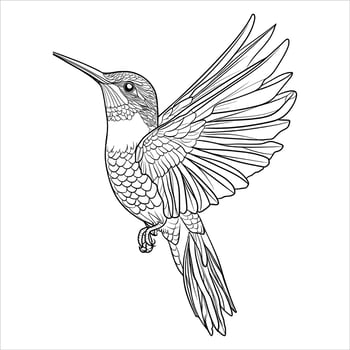 A hummingbird coloring page for adult. animal illustration. vector