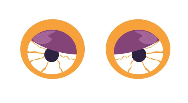Creepy eyeballs with orange iris vector