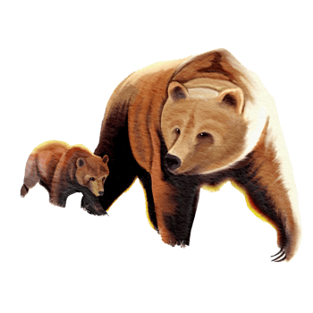 bear mother and child , watercolor painting png