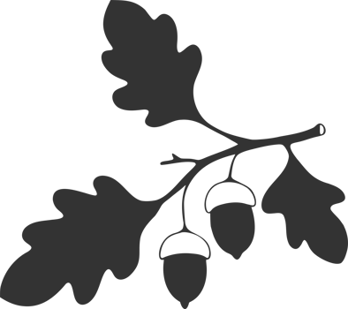 Oak branch with leaves and acorns silhouette drawing png