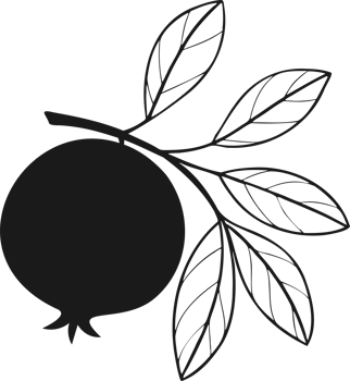 Pomegranate fruit on branch with leaves, stylized contour drawing png