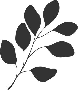 Silhouette Eucalyptus branch, leaves. . png