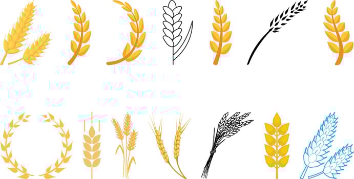Wheat Ear Spica Icon set collection. vector