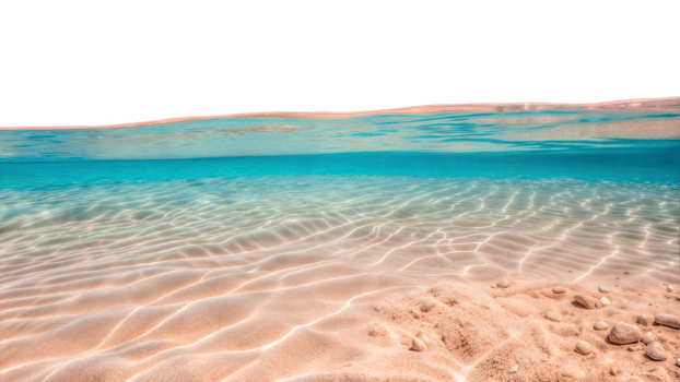Crystal clear beach water with sandy shore, tropical paradise scene png