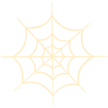 White spider web png