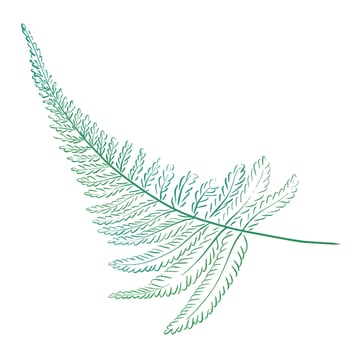 Watercolor fern branch, tropical leaves, luxury design. forest botany. vector
