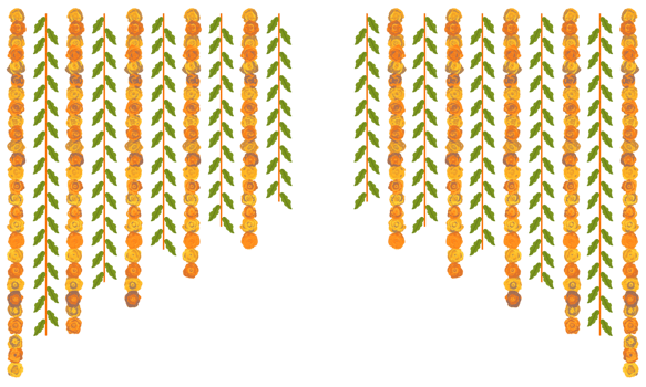 Traditional floral indian garland marigold toran png