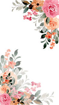 pink and peach floral frame png