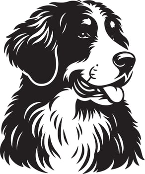 Bernese mountain dog dog head illustration vector