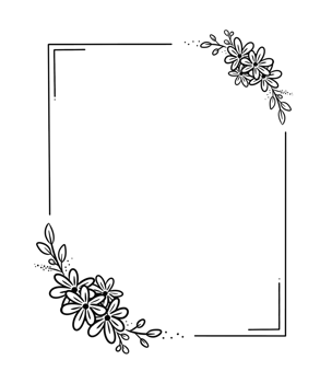 elegant minimalist bordered frames with flowers and leaves png