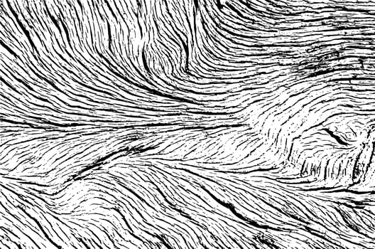 Transparent wood pattern texture for background grunge effect vector