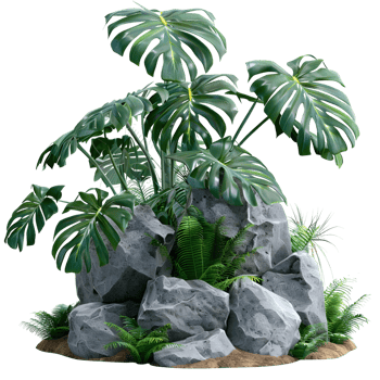Potted Tropical Plant Isolated on Transparent Background png