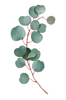 leaves decorated cozy png