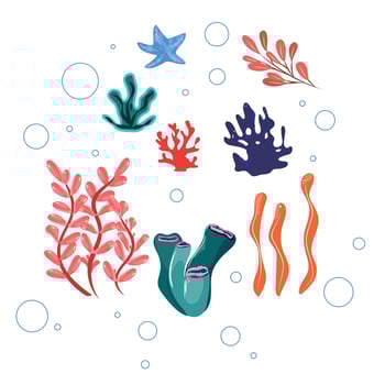 Colorful coral reefs and seagrass illustrations with bubbles, ideal for marine or oceanic visuals vector