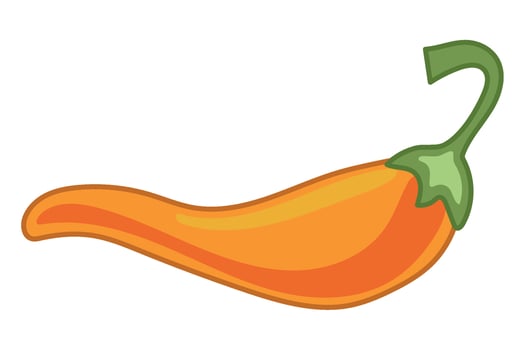A cartoon orange chili pepper on a white background vector