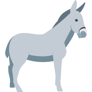 A donkey is standing in front of a black background png