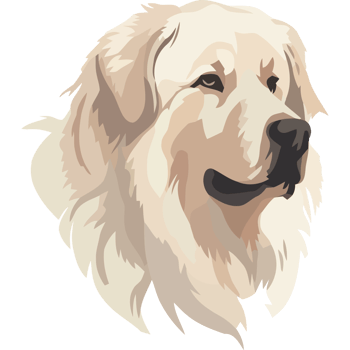 A white dog with long hair on a black background png