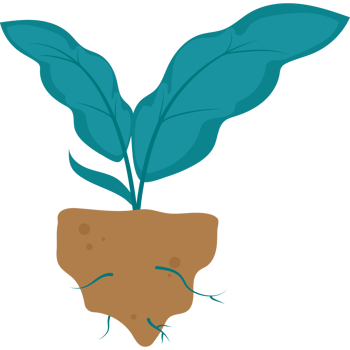 A cartoon plant with roots and leaves png