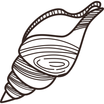 A black and white drawing of a shell png