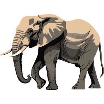 An elephant is standing on a black background png