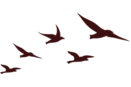 A flock of birds flying in the air png
