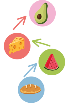 A diagram of food and watermelon png
