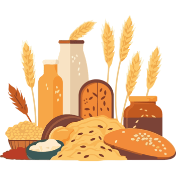 A variety of bread, wheat and other food items png