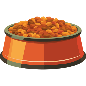 An orange bowl filled with food png